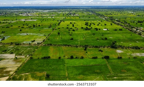 Jaganattha Green Meadows - 3d